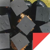 Study abroad with WSB